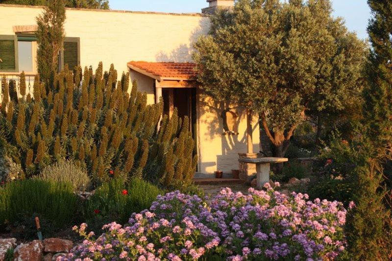 To The Garden Guest House Angairia Exterior photo